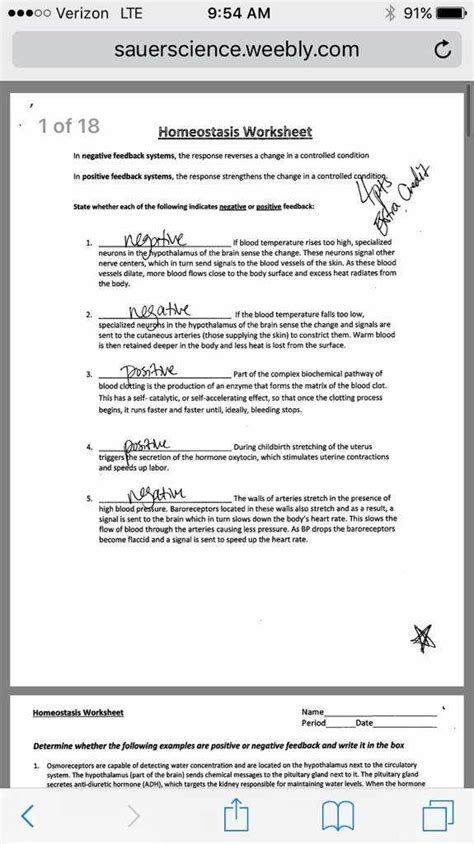 Mastering Homeostasis Unlocking The Answers With Our Worksheet Answer Key