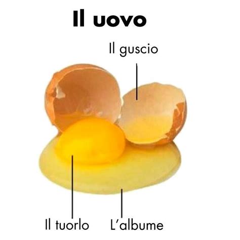 Le parti dell'uovo | Learning italian, Italian language, Italian vocabulary