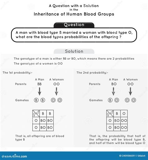 Inheritance Of Human Blood Group A Infographic Diagram Example Alleles