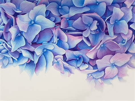 Original Aquarell Gemälde blaue Hortensie Blumen Kunst Etsy