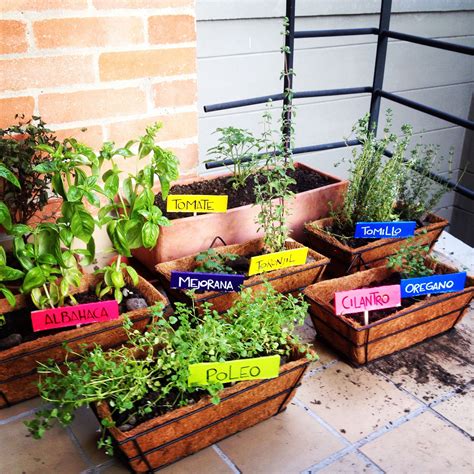 Aprende a crear tu huerta en casa fácilmente