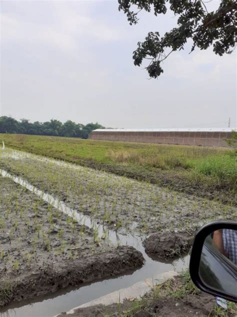 Dijual Tanah Strategis Cocok Untuk Gudang Atau Pabrik Di Trangsan