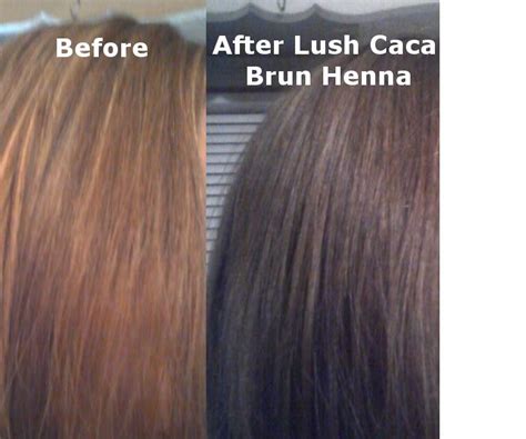 Lush Henna Hair Dye Bí Quyết Tạo Màu Tóc Tự Nhiên Và Sống Động