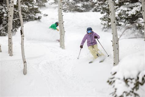 Tips on Tree Well Safety for Skiers & Snowboarders - Ski Utah