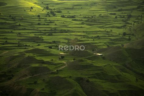 Fototapete Landschaft mit grünen Feldern nach Maß myredro de