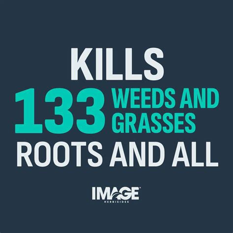 Image® Herbicides Noxall Weed Grass Killer Granules