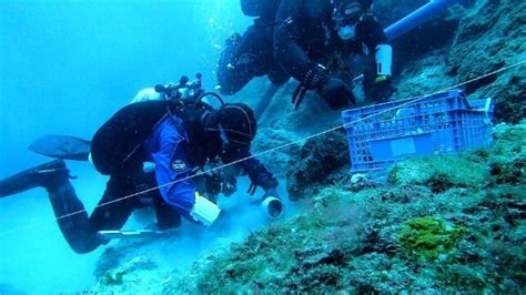 Famed Antikythera Shipwreck Yields New Treasures