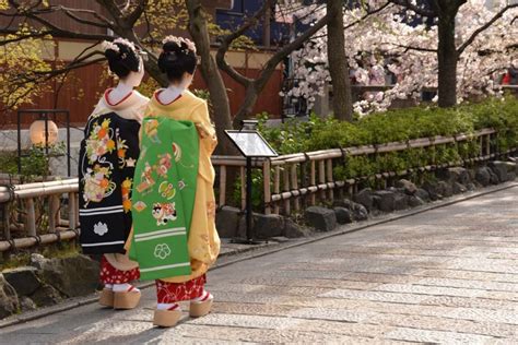 桜の咲く古い町並みを散歩したい！風情ある絶景3選｜zekkei Japan