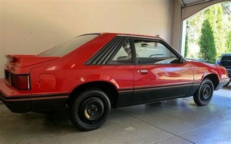 1979 Ford Mustang Cobra Barn Finds