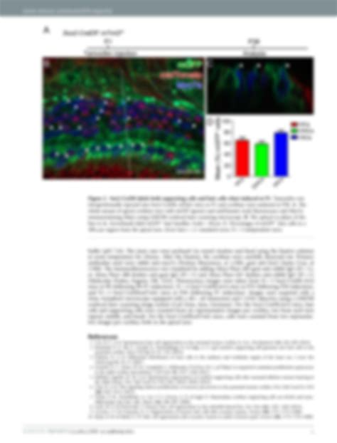 Solution Sox Creer Mice Are Useful For Fate Mapping Of Mature But Not