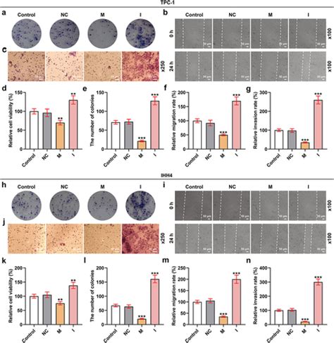 Full Article Ultrasound Targeted Microbubble Destruction Mediated MiR