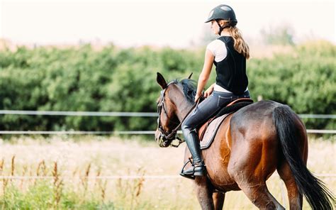 Débuter l équitation 7 bonnes raisons de commencer