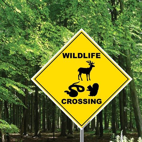 Wildlife Crossing Aluminum Sign Or Sticker Victorystore