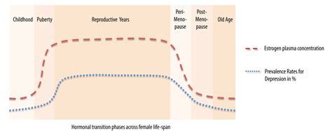 Sex Hormones Affect Neurotransmitters And Shape The Adult Female Brain During Hormonal