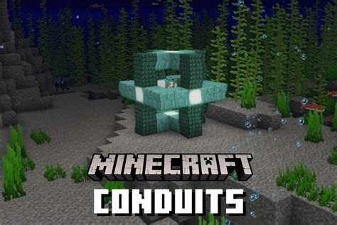 Minecraft Conduit: Everything You Need to Know | Beebom