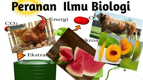 Peranan Biologi Dalam Kehidupan Manusia