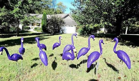 FLAMINGO YARD DISPLAY PURPLE Sky High Amusements Paradise NL