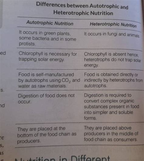 Distinguish Between Autotrophs And Heterotrophs