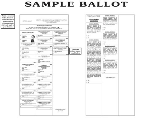 Prince William County Sample Ballot 2024 Deana Estella