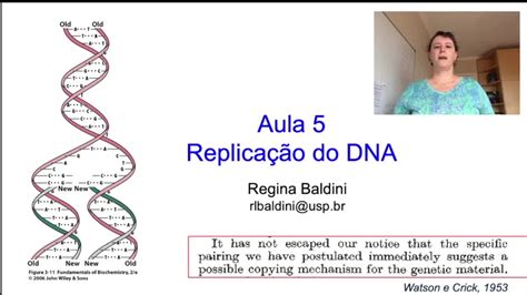 E Aulas Da Usp Aula Replica O Do Dna