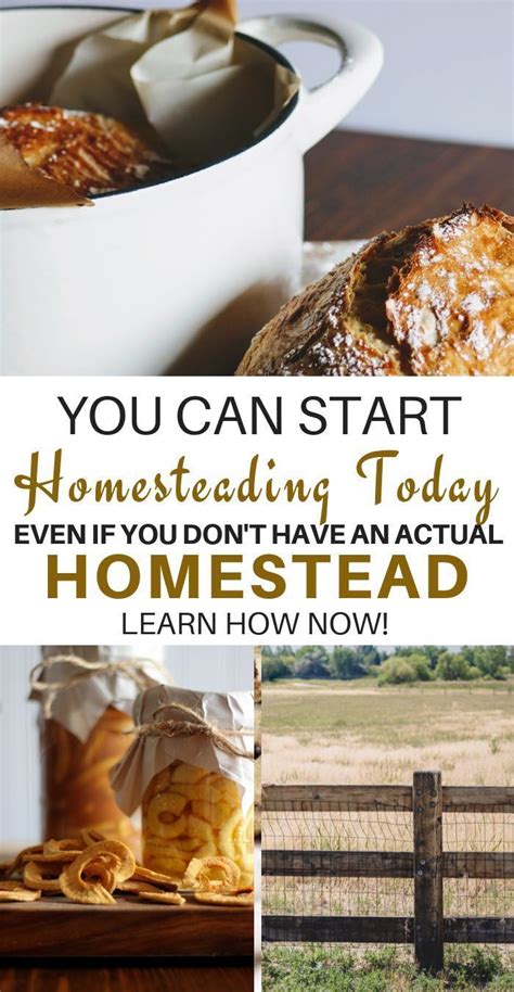 Homesteading For Beginners How To Become A Homesteader Today