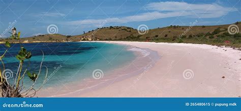 Pink Beach In Lambu Bima Indonesia Stock Image Image Of Horizon