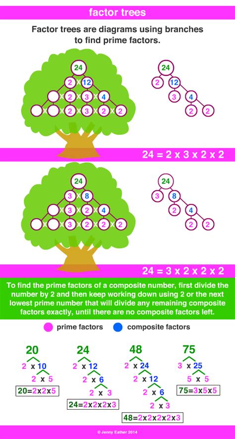 factor tree ~ A Maths Dictionary for Kids Quick Reference by Jenny Eather