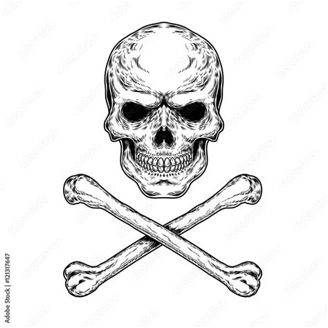 Vector Illustration Of A Skull And Crossbones Stock Vector Adobe Stock