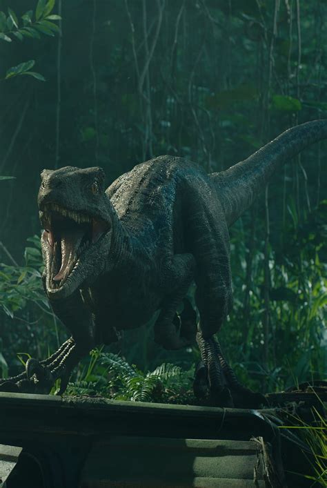 Jurassic World Fallen Kingdom After End Credit Scene Teases Wild