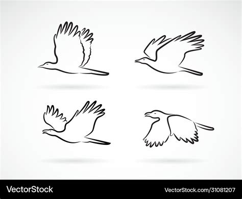 Group crow flying on white background birds Vector Image