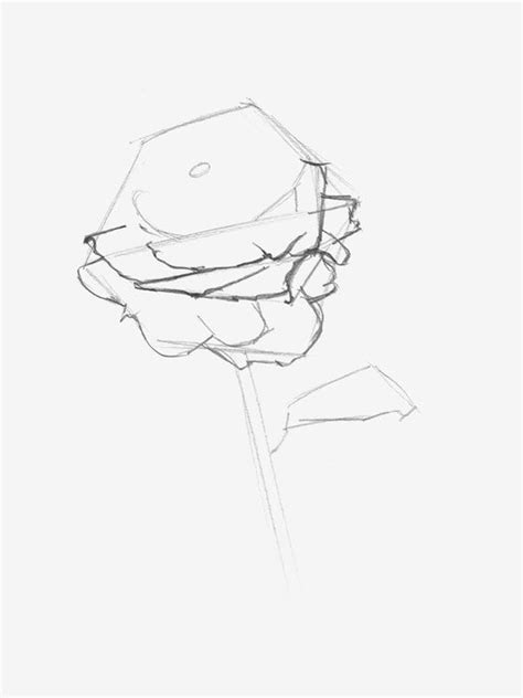 How To Draw A Rose Simple And Realistic