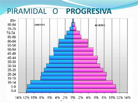 Que Es Piramide De Poblacion Progresiva Su Definicion Y Significado