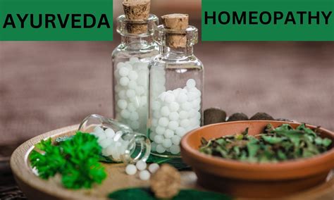 PG Ayurveda Homeopathy 2024 DME Gujarat Begins 4th Online Stray