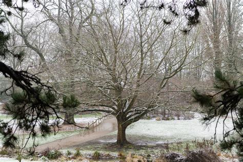 Le Parc Barbieux Sous La Neige Roubaixxl