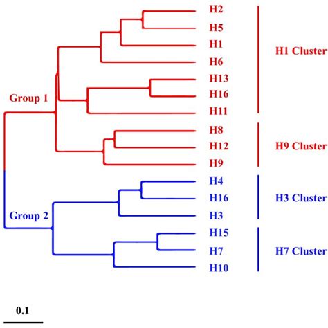 Phylogenetic Tree Of Has Of Different Subtypes H1 H16 Of Influenza