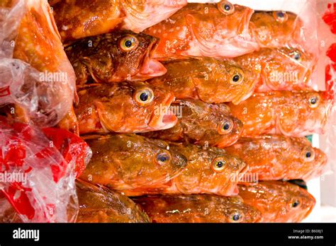 Red Snapper Fish On Ice At The Tsukiji Fish Market In Tokyo Japan