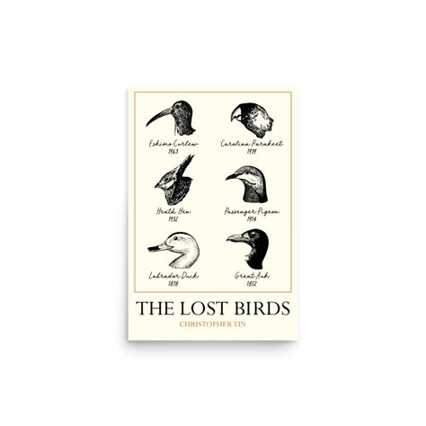 The Lost Birds Poster – Christopher Tin Official Store