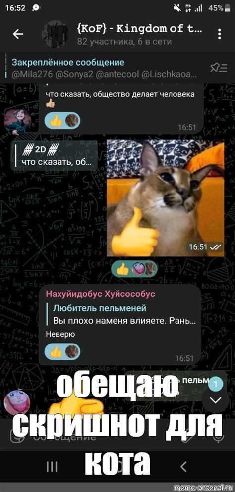 Создать мем "шлёпа кот большой, шлёпа большой русский кот, шлёпа ...