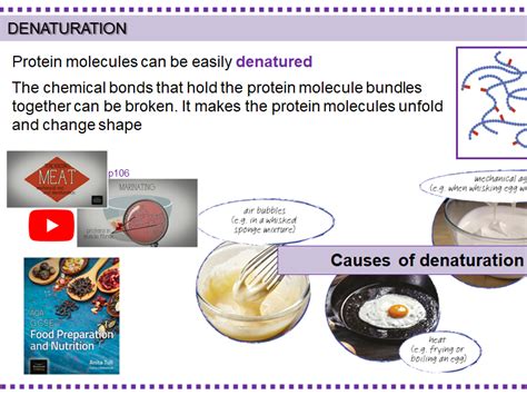 Function Of Proteins Coagulation Denaturation Teaching Resources