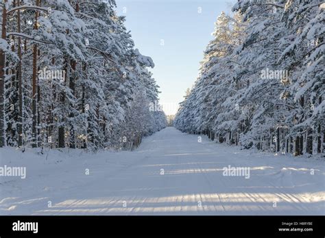 Snow Covered Winter Road In Lahemaa National Park Estonia Stock Photo