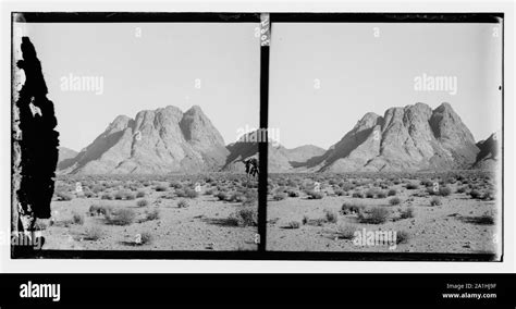 Mt Sinai Black And White Stock Photos And Images Alamy