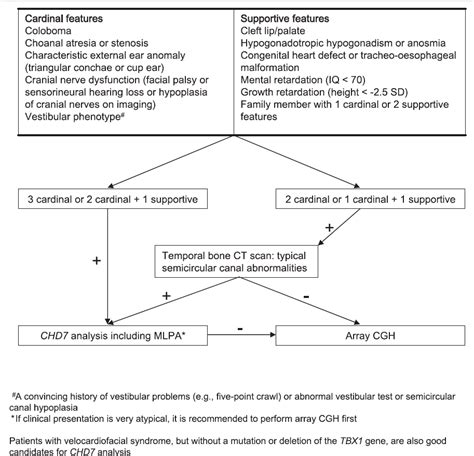 Chd7 Analysis Guideline Full Charge Syndrome Foundation