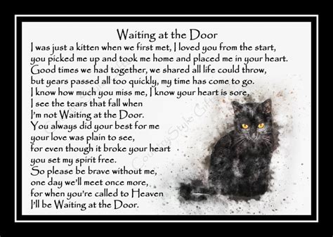 Black Cat Photo Memorial T Mounted Poem Rainbow Bridge Etsy