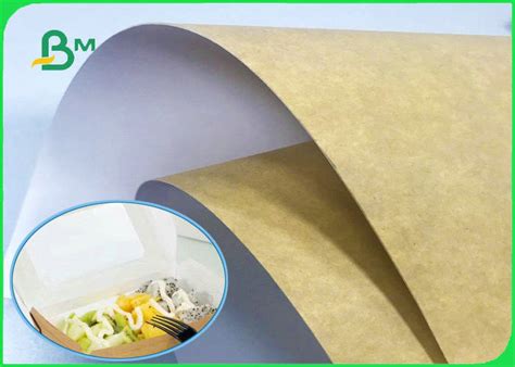 250GSM 360GSM 650mm 889mm Food Grade White Top Kraft Liner Paper