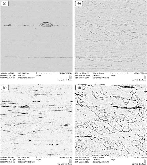 E Low And High Magnification Images Showing The Microstructures Of