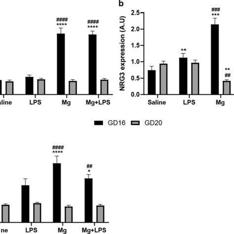 Effect Of Mia And Mgso Administration On Nrg Erbb Pathway Expression