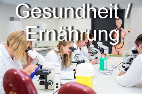 Berufsfachschule I Ziel Msa Berufliche Schule Pinneberg