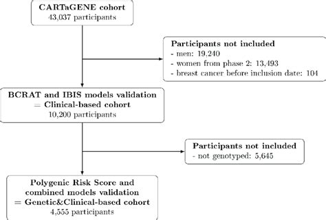 Flow Chart Bcrat Breast Cancer Risk Assessment Tool Ibis