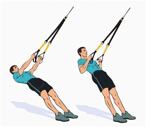 TRX Inverted Row Exercise Guide • Bodybuilding Wizard