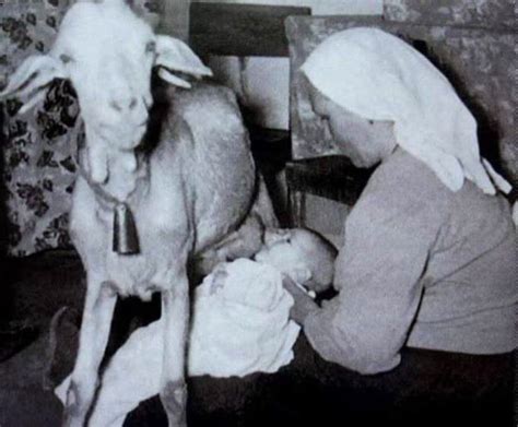 Козлы и люди : foto_history — LiveJournal